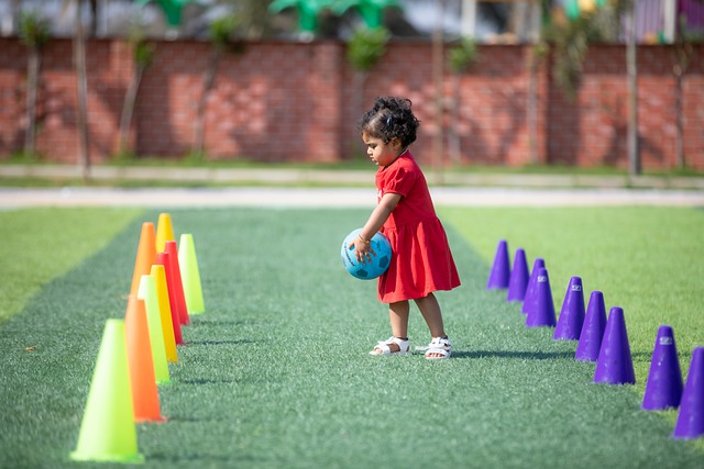 的鲜明例证 的鲜明例证