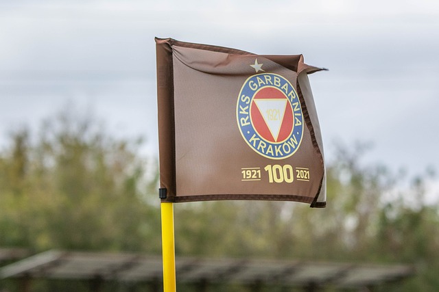 成为最大亮 成为最大亮