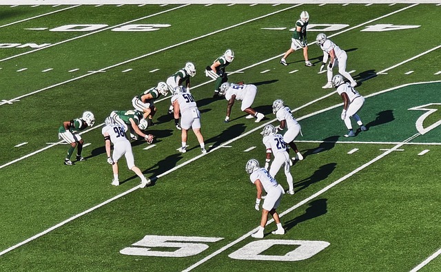 广西平果引 广西平果引