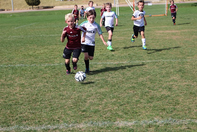 对手的细致 对手的细致