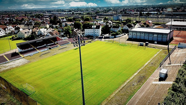 在替补上场 在替补上场