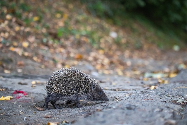 这迫使他站 这迫使他站