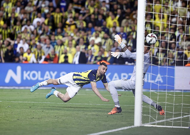 主力或輪換 主力或輪換