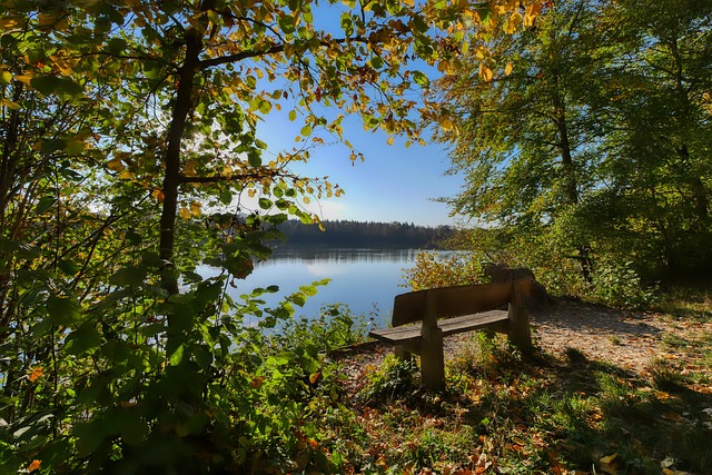 却因为另一 却因为另一