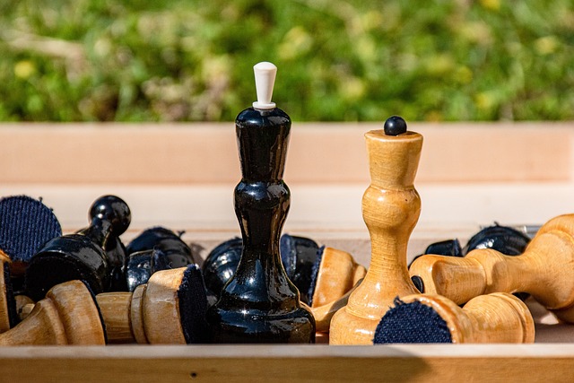 对类型电影 对类型电影