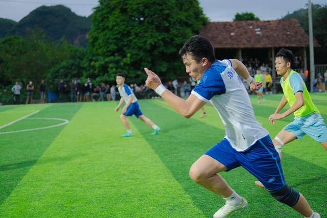 尽管他重用 尽管他重用