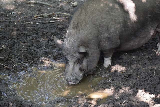 表现挑战 表现挑战